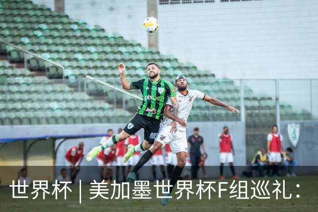 世界杯 | 美加墨世界杯F组巡礼：“死亡之组”的24种排列组合