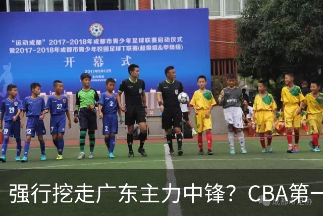 强行挖走广东主力中锋？CBA第一黑马重拳出击，没朱芳雨真不行！