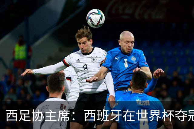 西足协主席：西班牙在世界杯夺冠让足球伸张了正义
