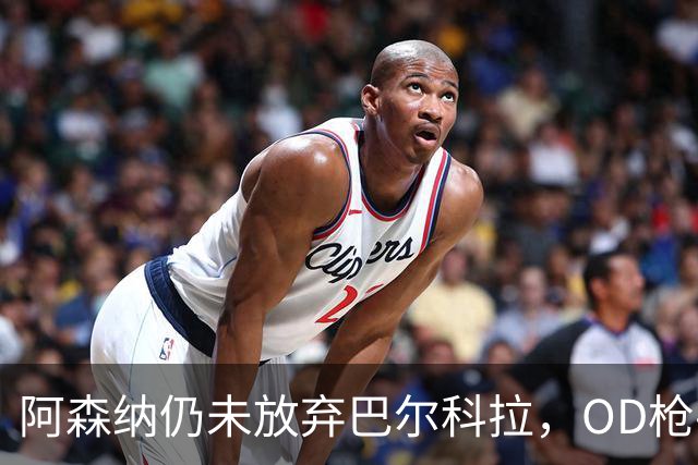 阿森纳仍未放弃巴尔科拉，OD枪手锋线补强计划迎来新目标